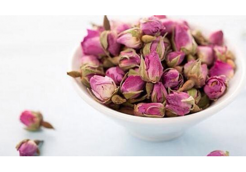 Tomurcuk gül goncası