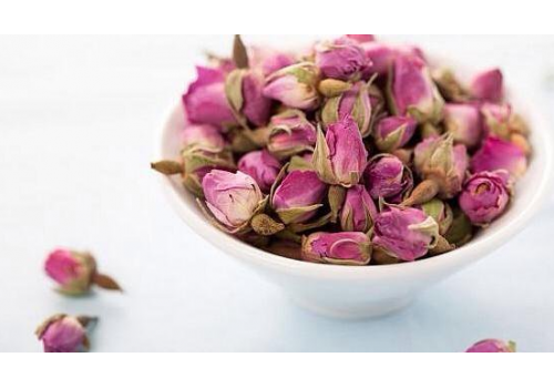 Tomurcuk gül goncası