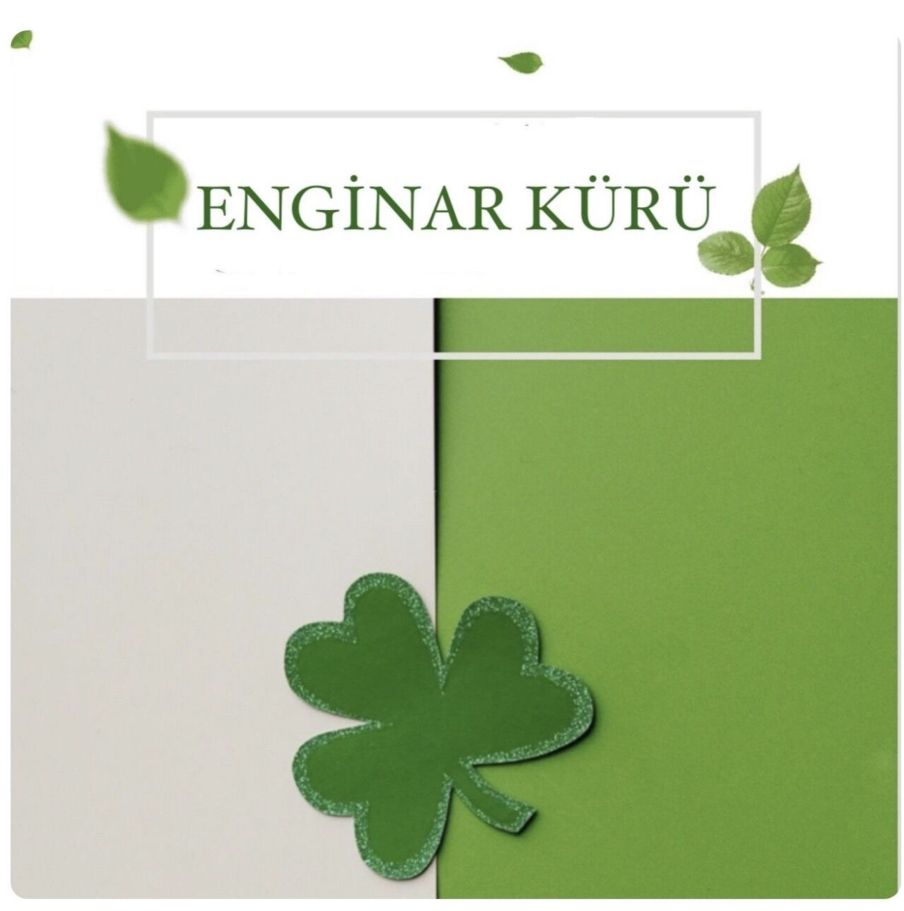 Enginar Kürü